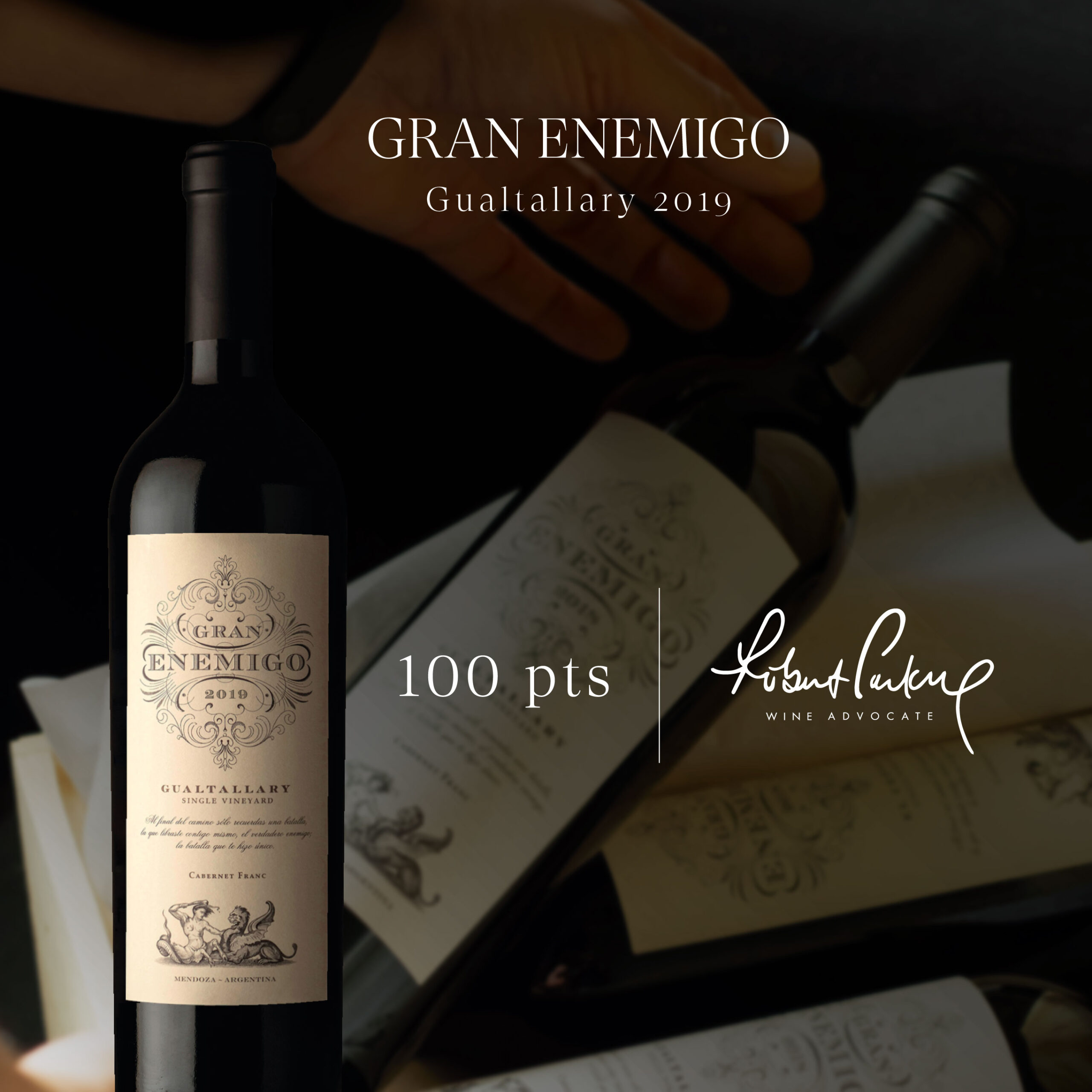100 RP pts Gran Enemigo Gualtallary 2019 1 scaled