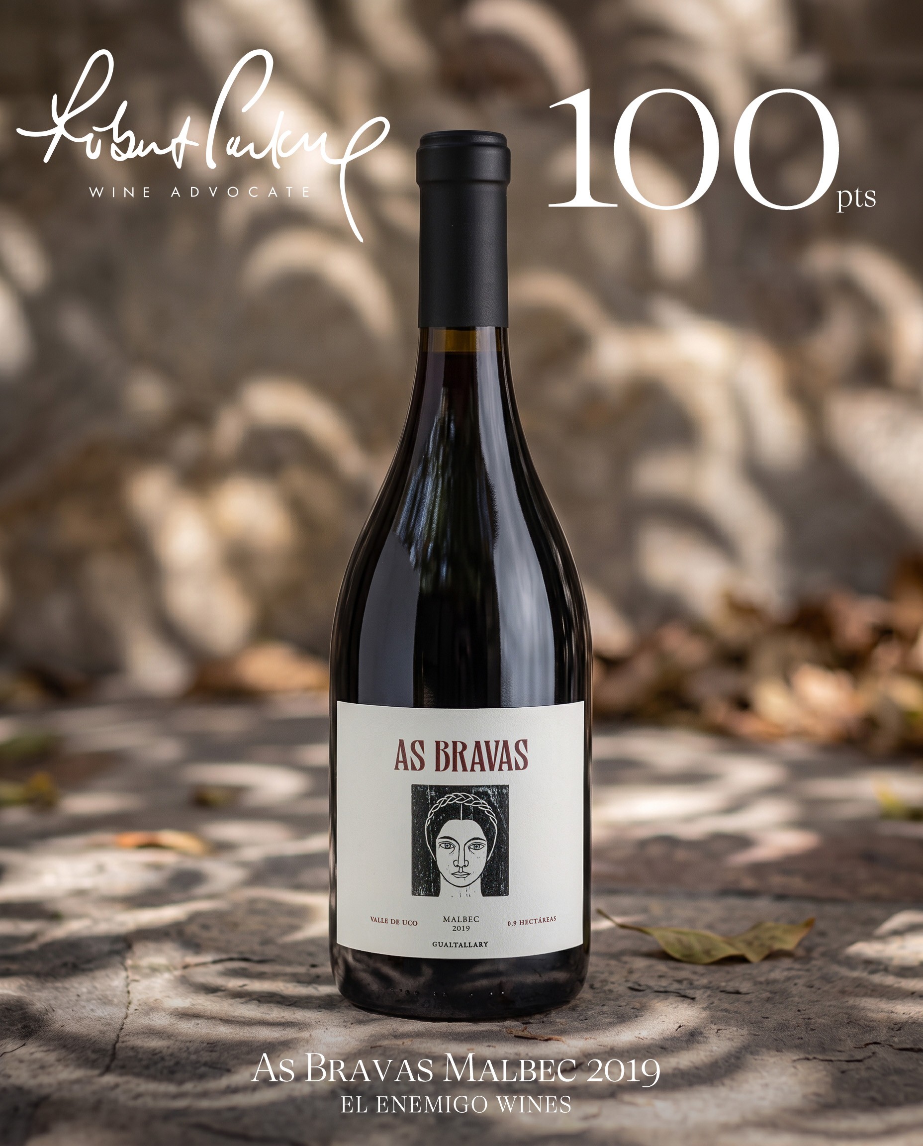 As Bravas Malbec Gualtallary 2019 100 pts Parker